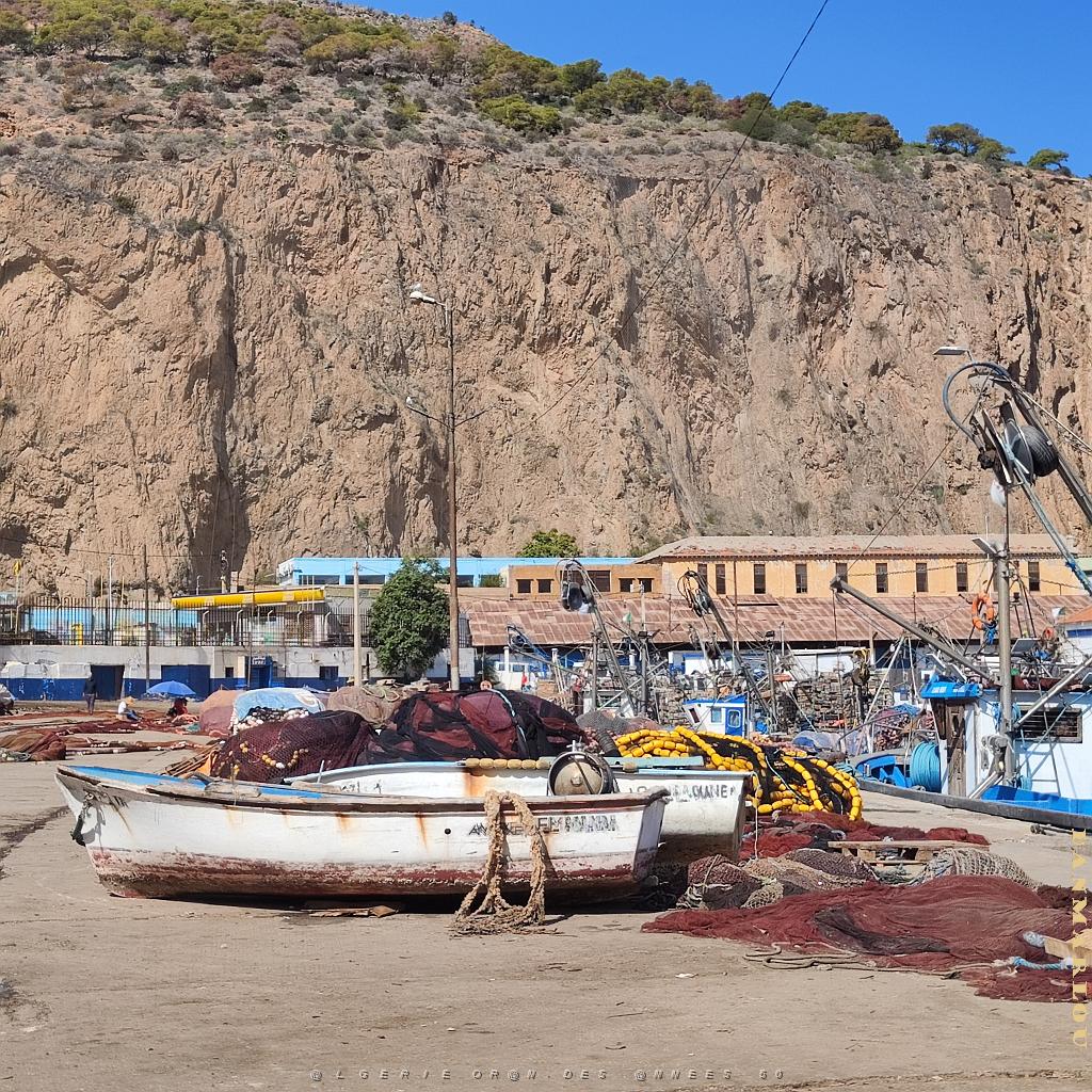 VOYAGE 20230926_111913 ORAN PORT DE PECHE (3).jpg